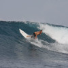 Bali Surf Photos - June 4, 2008