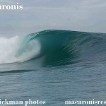 Macaronis Mentawai Photos - August 3, 2008