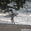 bali18.jpg