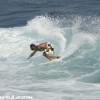 bali02.jpg
