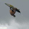 bali07.jpg
