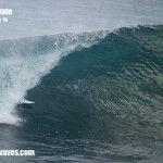 bali01