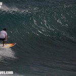 bali01