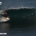 bali01
