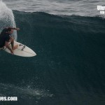 bali01
