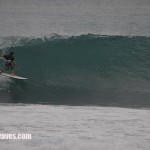 bali36