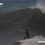 bali01