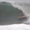 bali24