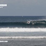 bali01