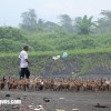 bali06
