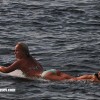 bali14