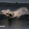 bali15
