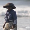 bali24