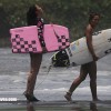 bali24