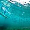 underwater