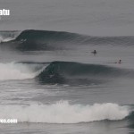bali01