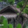 bali09