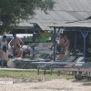bali21