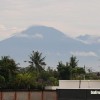 bali22