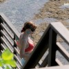 bali27