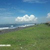 bali29