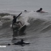 bali02