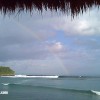 bali19