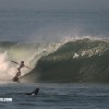 bali21