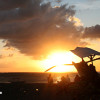 bali01