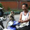 bali04