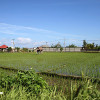 bali07