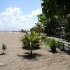 bali11