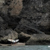 bali19