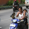 bali20