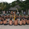 bali22