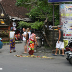bali22