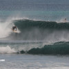 bali22