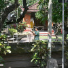 bali25