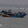 bali25