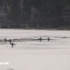 bali30