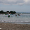 bali33