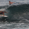 bali03
