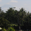 bali05