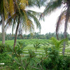 bali07