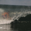 bali08