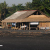 bali19