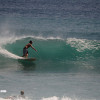 bali22