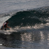 bali24