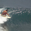 bali31