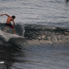 bali31